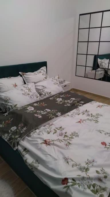 Cozyapartment14 Roşu エクステリア 写真